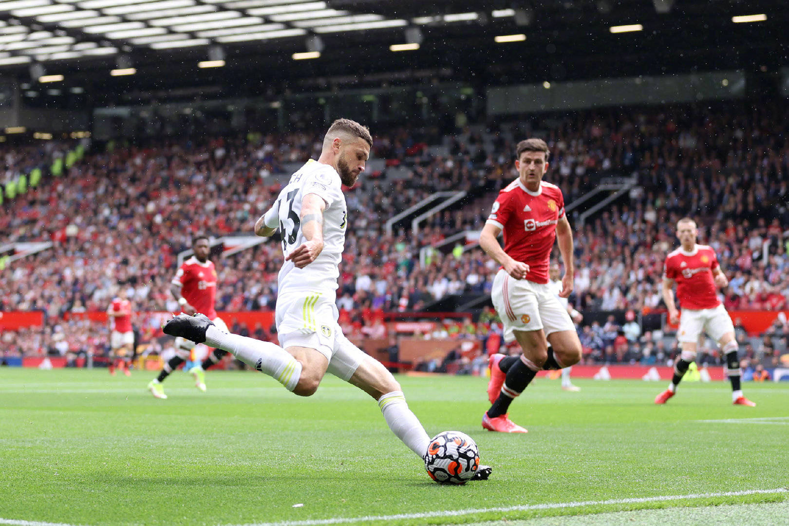 卫莱昂尼 卫莱昂尼